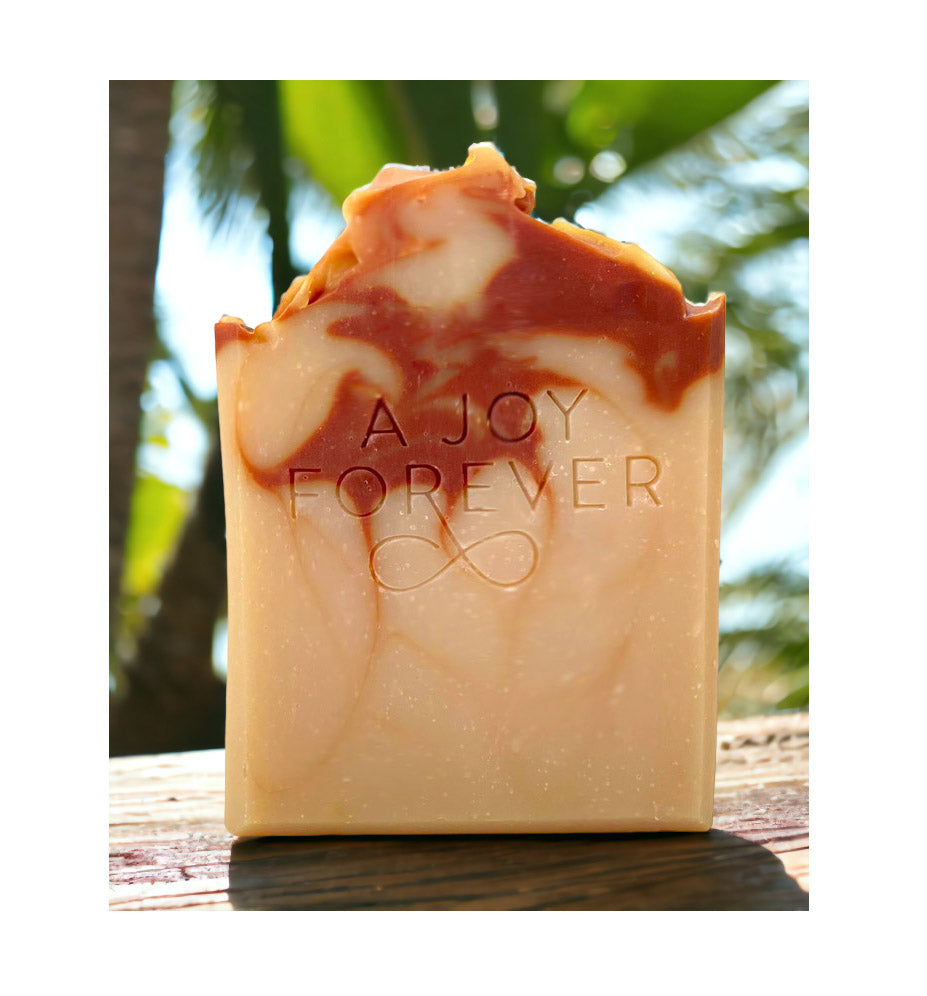 Sandalwood Coconut Vegan Soap - A Joy Forever Bath + Body