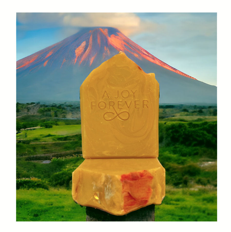 Volcano Vegan Soap - A Joy Forever Bath + Body